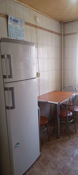 Salajan, statuie, inchiriere ap. 2 camere