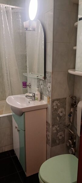 Salajan, statuie, inchiriere ap. 2 camere