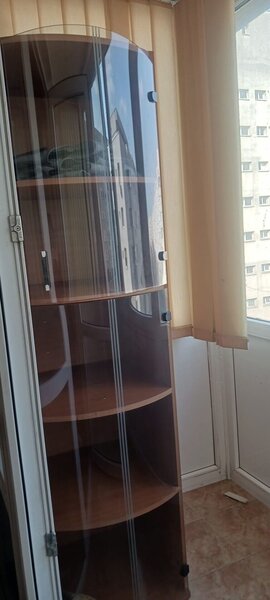 Salajan, statuie, inchiriere ap. 2 camere