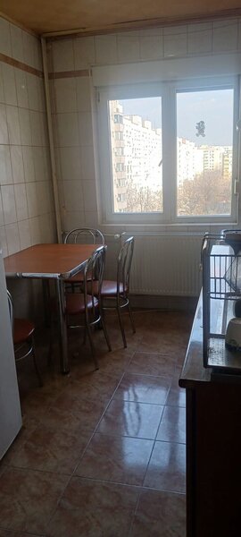 Salajan, statuie, inchiriere ap. 2 camere