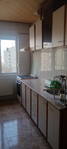 Salajan, statuie, inchiriere ap. 2 camere