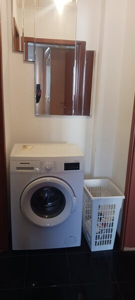 Salajan, statuie, inchiriere ap. 2 camere